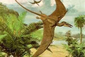 Pterodaktil - leteći dinosaur Pterodaktil - leteći dinosaur